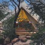 Pasare Glamping Anglona Rural Experience